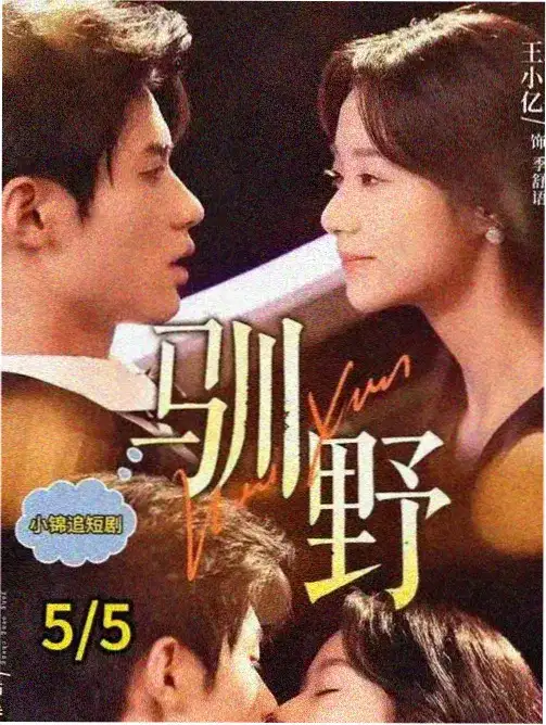 面包和汤和猫咪好天气